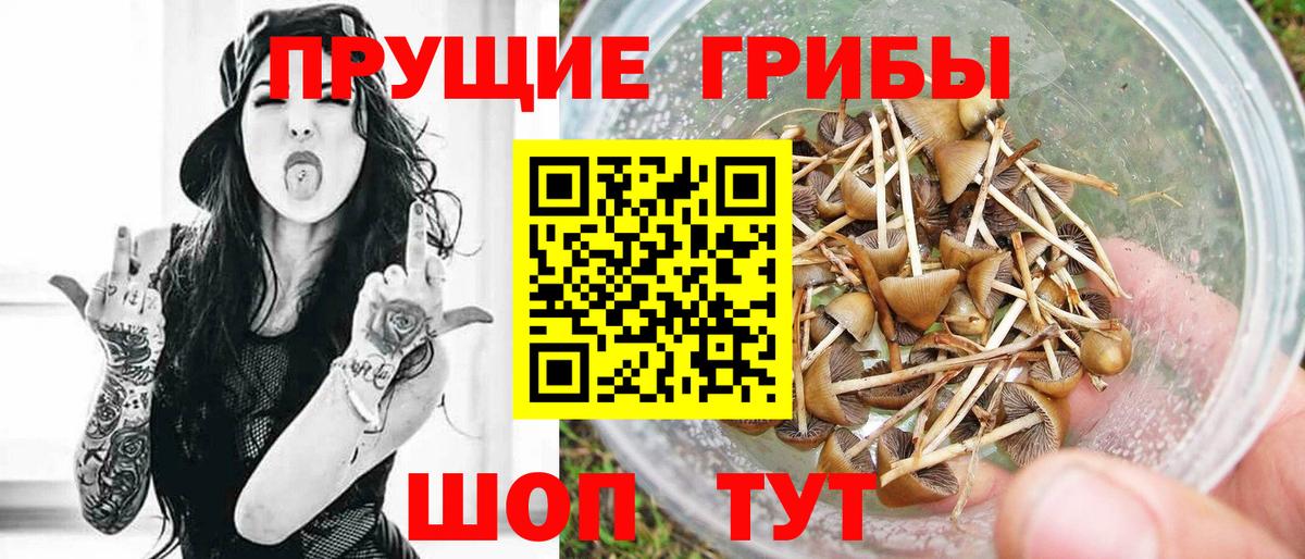 Азнакаево  Псилоцибиновые грибы Magic Shrooms  Вход с VPN 